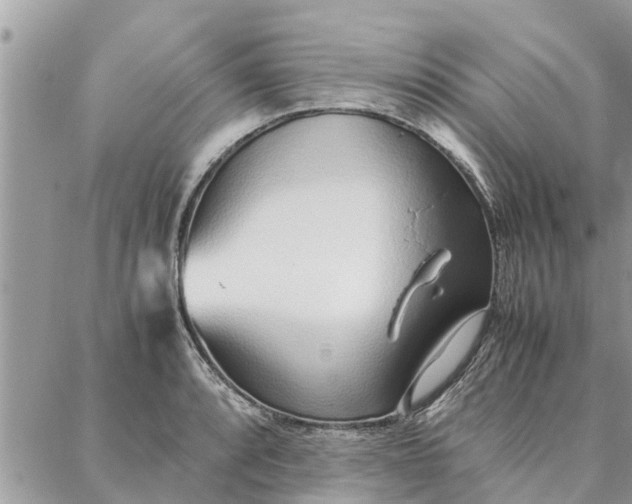 X0000087361088200705041849