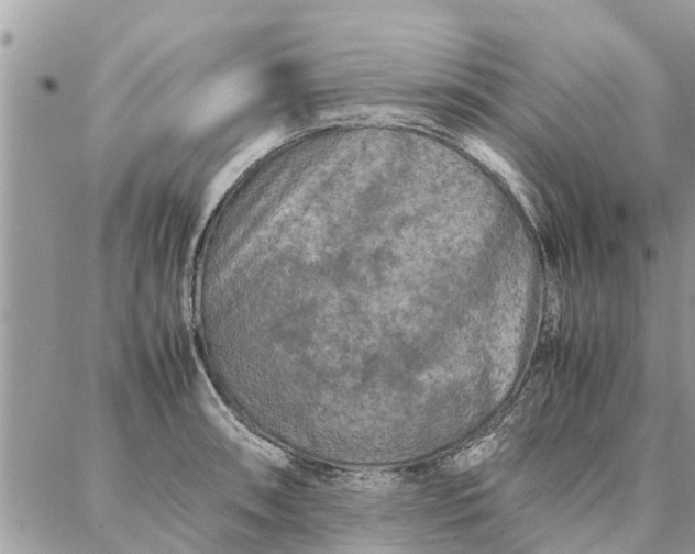 X0000087361090200705041849