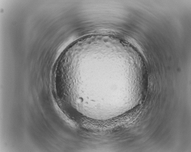 X0000087361091200705041849