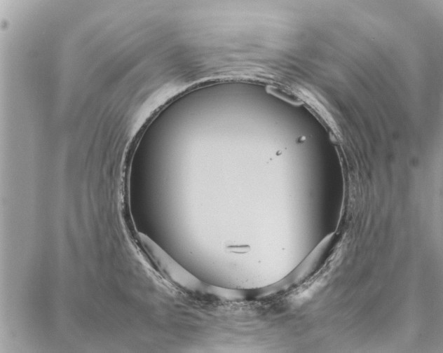 X0000087361093200705041849