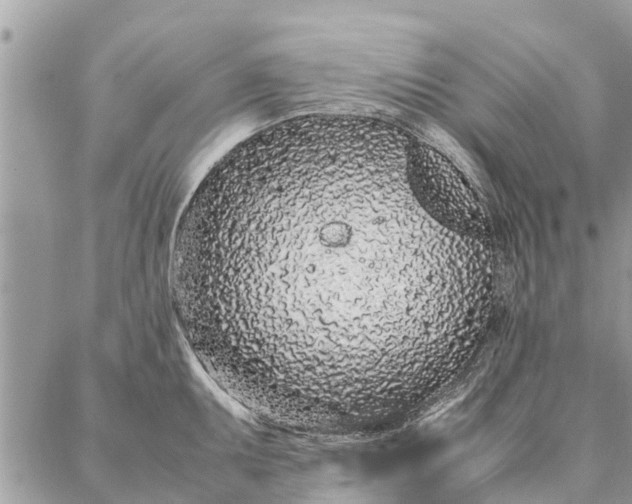 X0000087361095200705041849