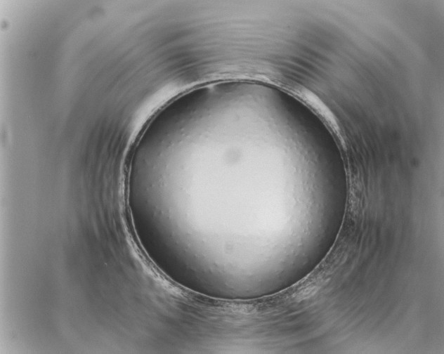 X0000087361096200705041849