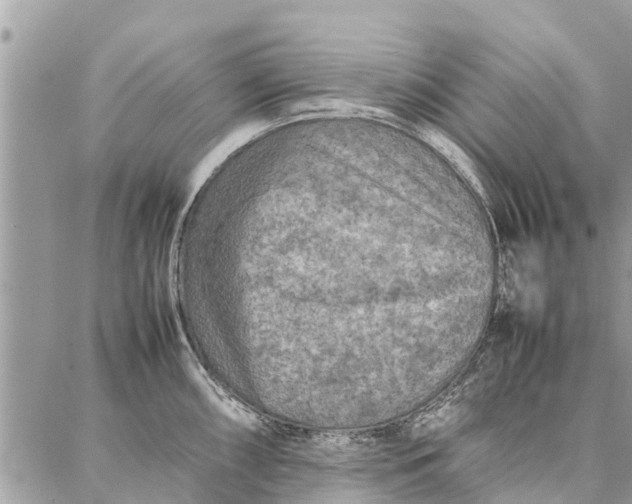 X0000087361098200705041849