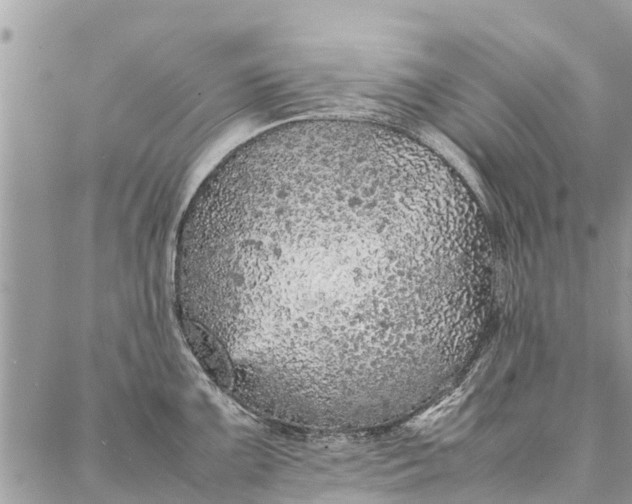 X0000087361099200705041849