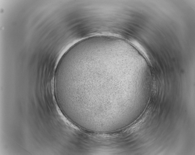 X0000087361100200705041849