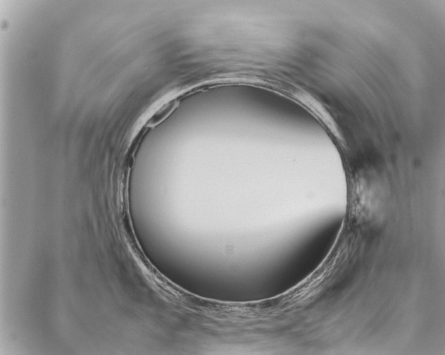 X0000087361101200705041849