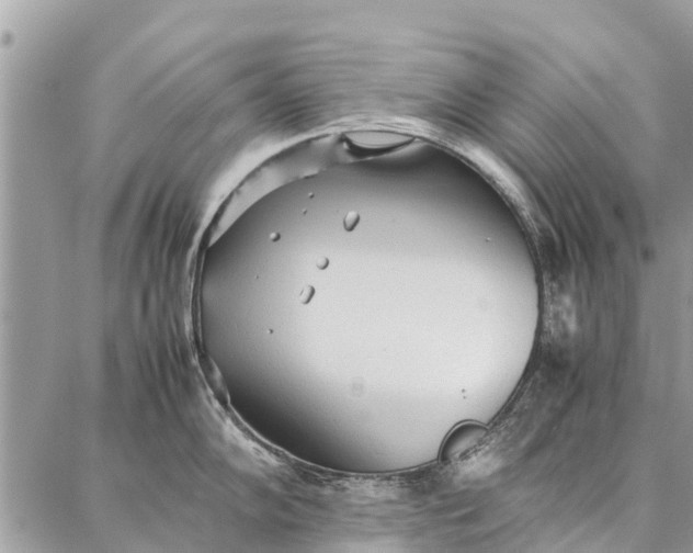 X0000087361102200705041849