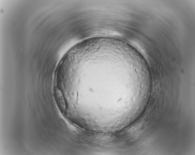 X0000087361103200705041849