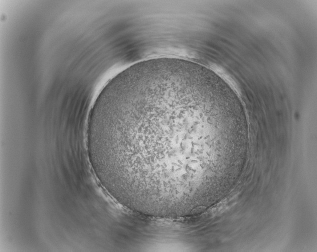 X0000087361104200705041849