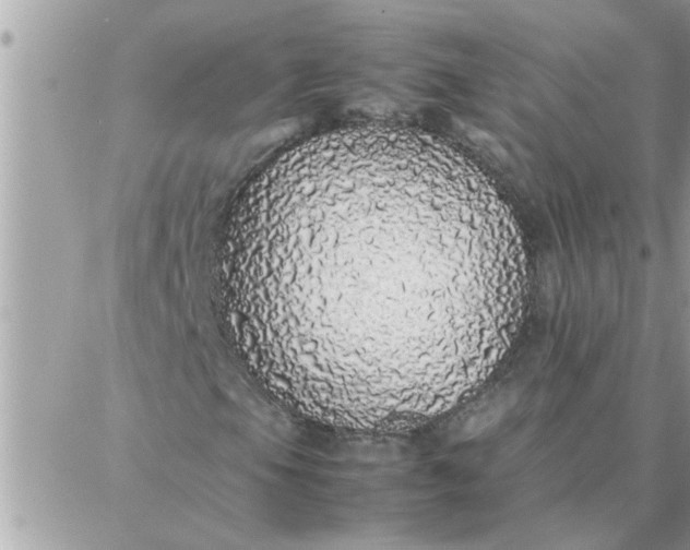 X0000087361105200705041848