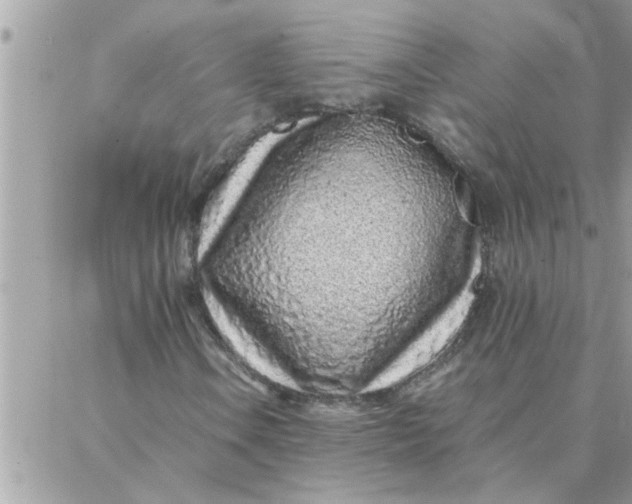 X0000087361106200705041848