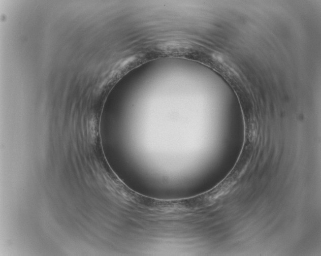 X0000087361108200705041848