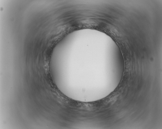 X0000087361109200705041848