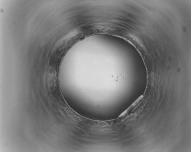 X0000087361111200705041848