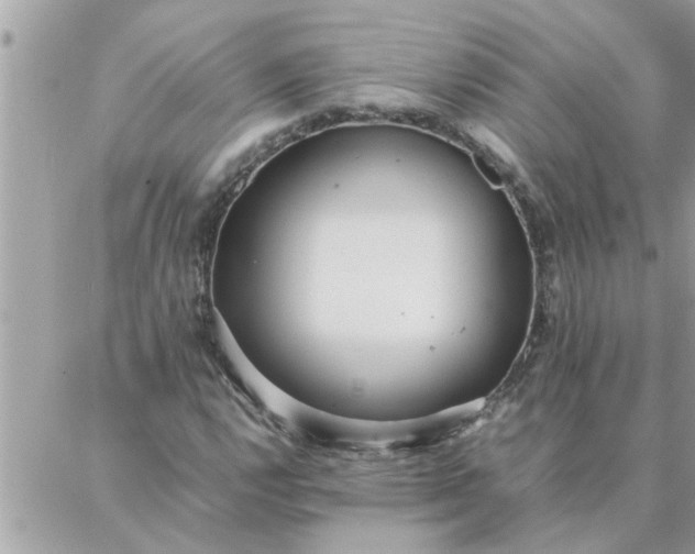 X0000087361112200705041848