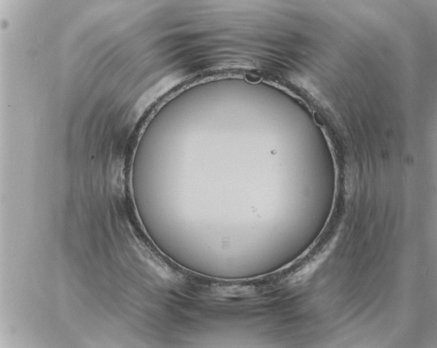 X0000087361113200705041848