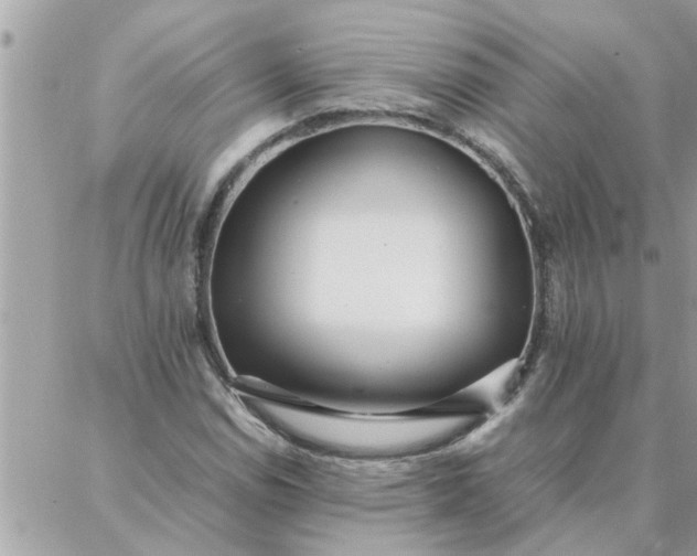 X0000087361114200705041848