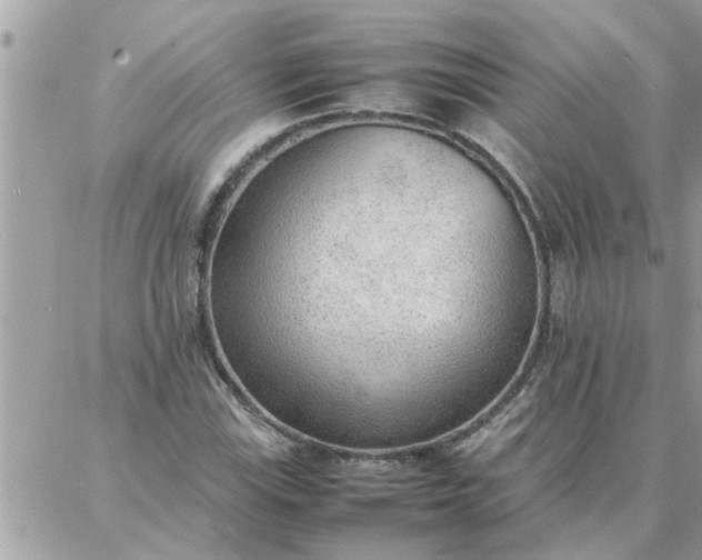 X0000087361115200705041848