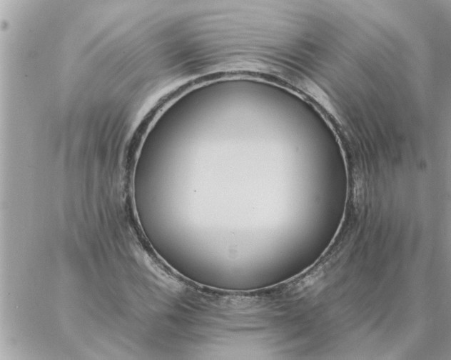 X0000087361116200705041848