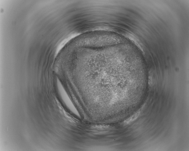 X0000087361117200705041848