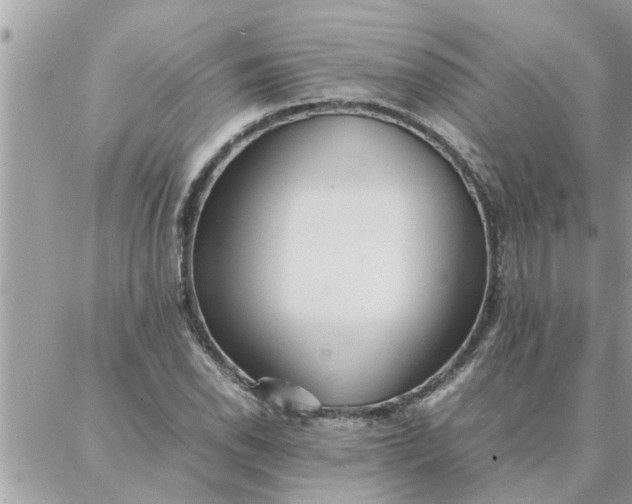 X0000087361118200705041848