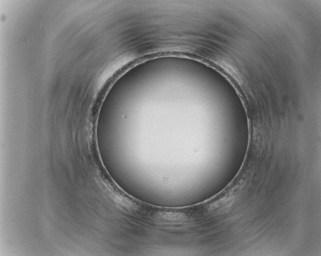 X0000087361119200705041848