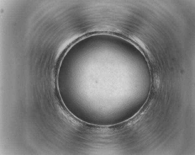 X0000087361120200705041848