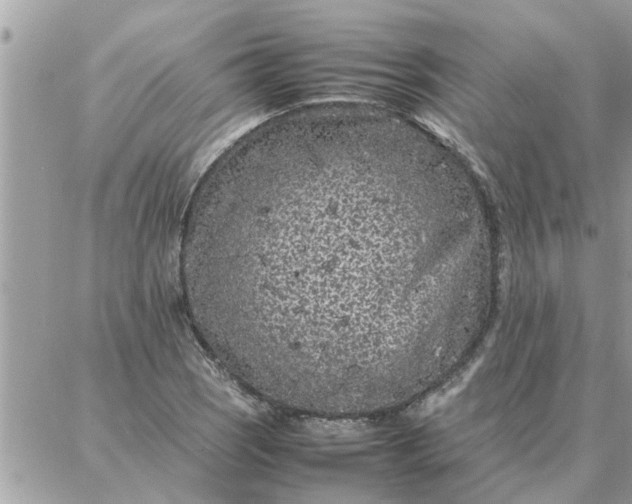 X0000087361121200705041848