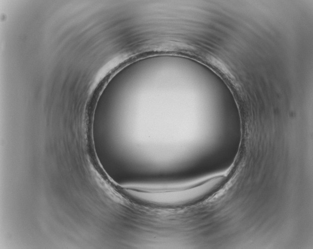 X0000087361122200705041848