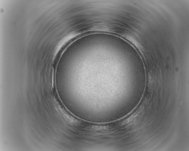 X0000087361123200705041848