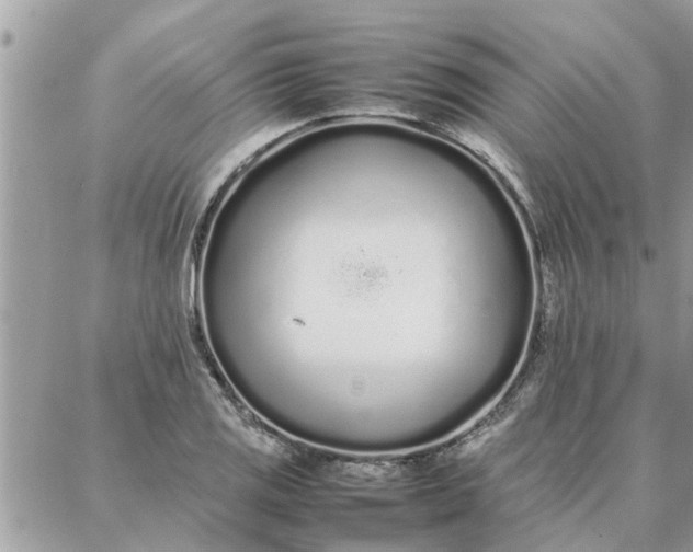 X0000087361125200705041848