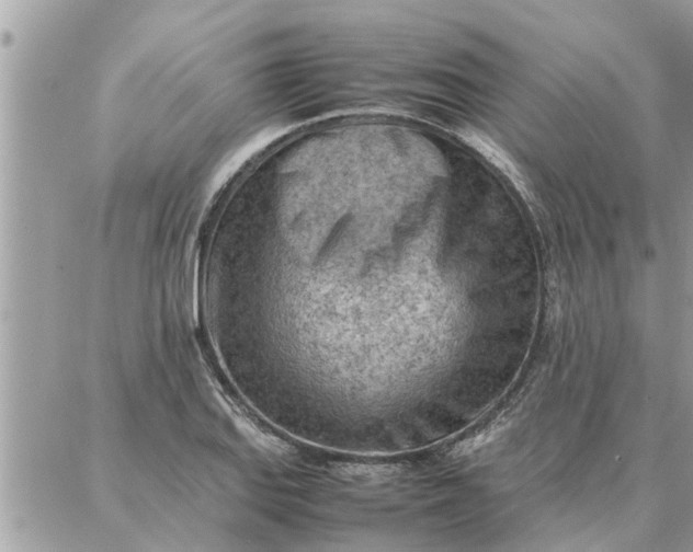 X0000087361127200705041848