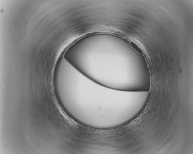 X0000087361128200705041848