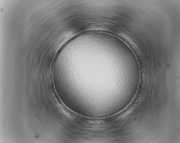 X0000087361129200705041848