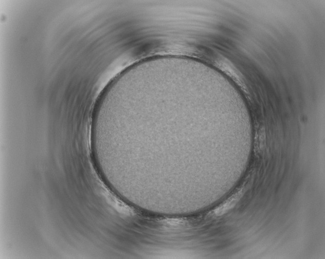 X0000087361130200705041848