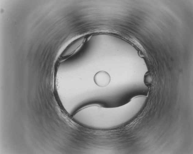 X0000087361132200705041848