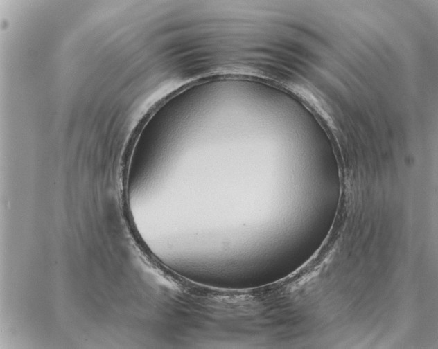 X0000087361133200705041848