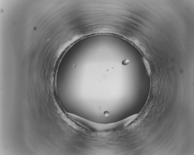 X0000087361134200705041848