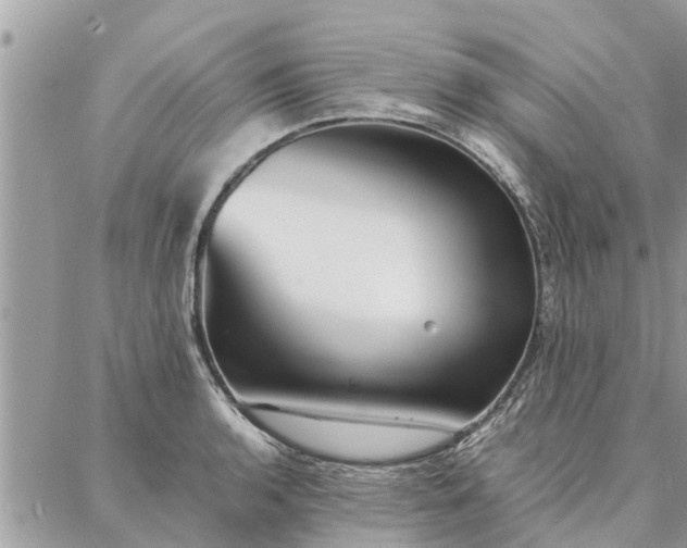 X0000087361136200705041848