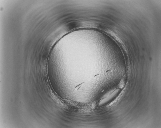 X0000087361137200705041848