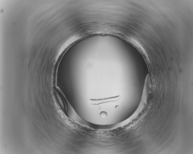 X0000087361138200705041848