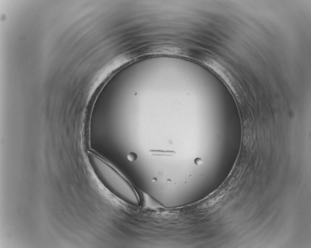 X0000087361139200705041848