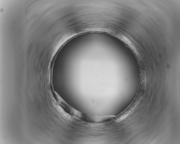 X0000087361140200705041849