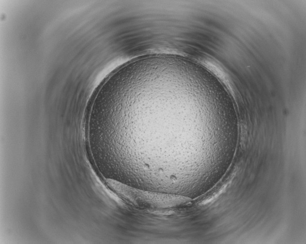 X0000087361141200705041849