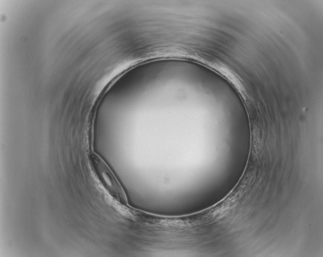 X0000087361142200705041849