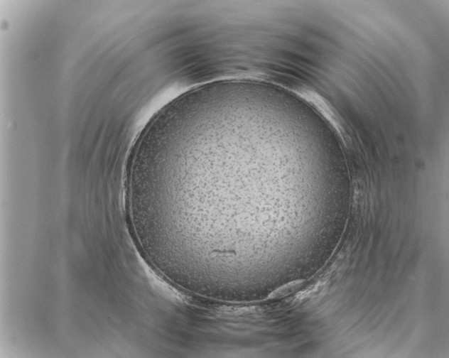 X0000087361143200705041849