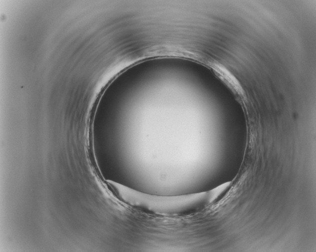 X0000087361144200705041849