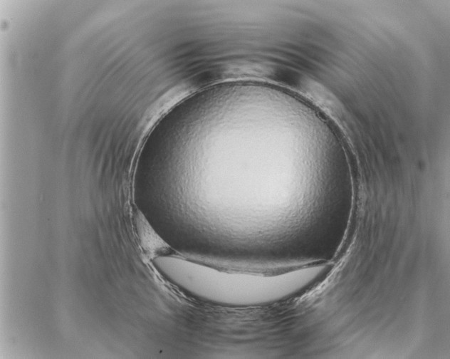 X0000087361145200705041849