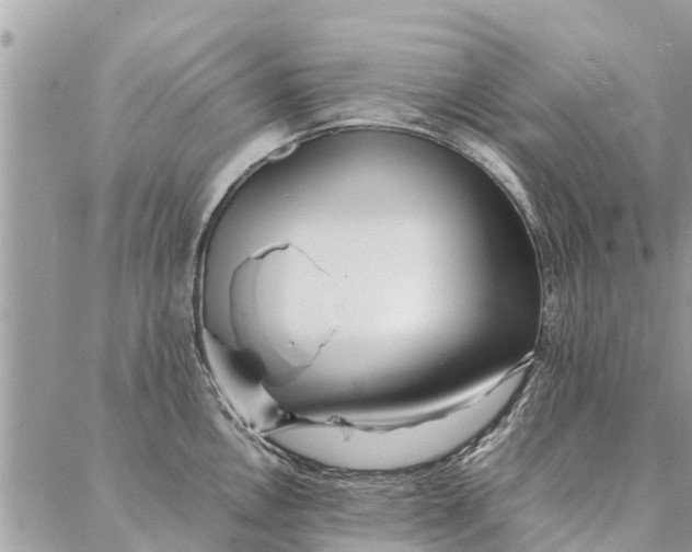 X0000087361146200705041849