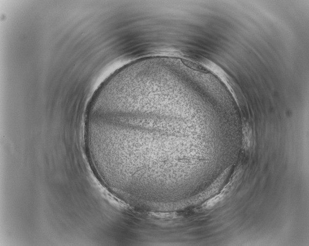 X0000087361147200705041849